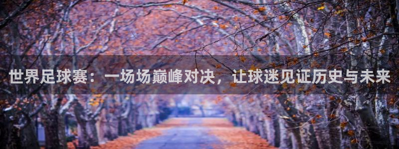 世界杯在线直播入口：世界足球赛：一场场巅峰对决，让球迷见证历史与未来