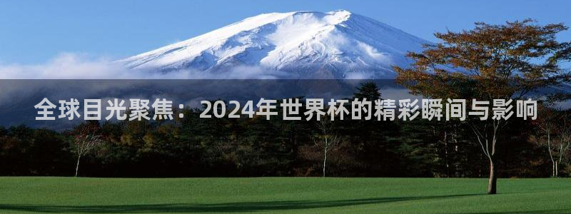 世界杯欧洲区预选赛赛程：全球目光聚焦：2024年世界杯的精彩瞬间与影响