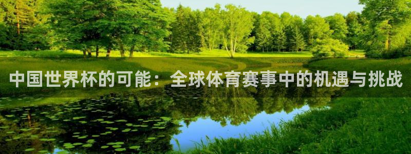 2026年男足世界杯：中国世界杯的可能：全球体育赛事中的机遇与挑战