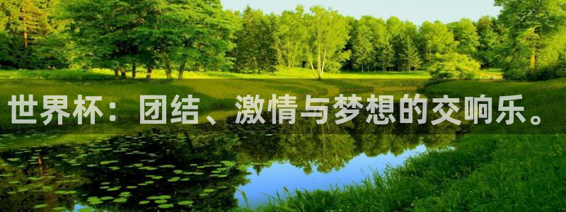 女足世界杯直播：世界杯：团结、激情与梦想的交响乐。