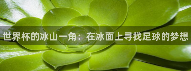 世界杯系列赛：世界杯的冰山一角：在冰面上寻找足球的梦想