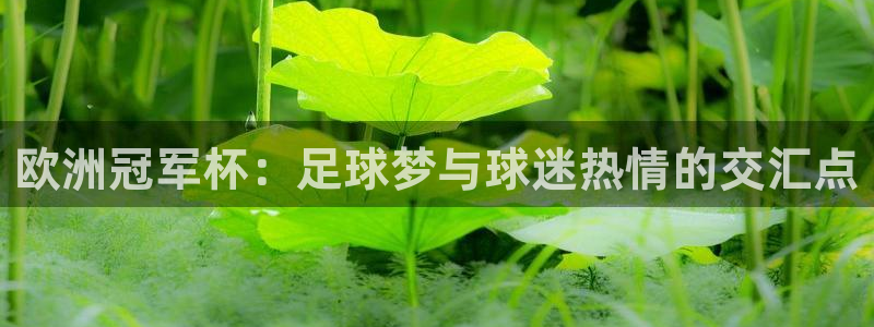 世界杯2026赛制：欧洲冠军杯：足球梦与球迷热情的交汇点