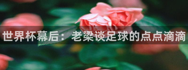 亚洲杯比赛直播：世界杯幕后：老梁谈足球的点点滴滴