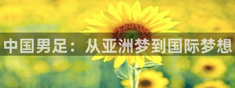 世界杯对阵表：中国男足：从亚洲梦到国际梦想