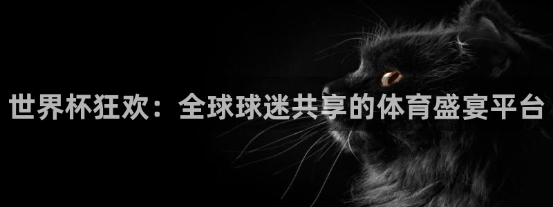 世界杯决赛圈球队：世界杯狂欢：全球球迷共享的体育盛宴平台