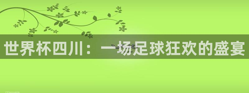 足球杯：世界杯四川：一场足球狂欢的盛宴