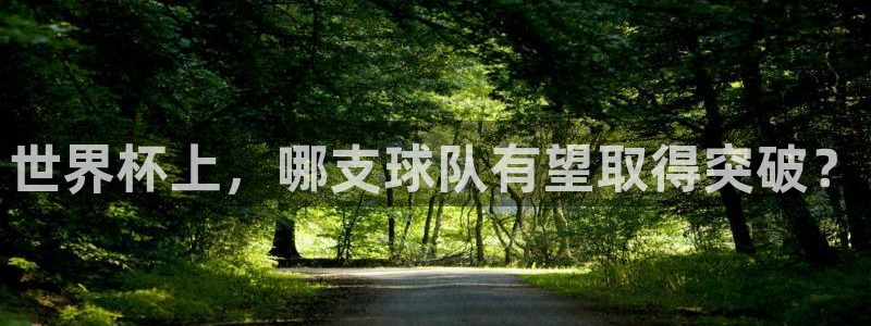 2026男足世界杯：世界杯上，哪支球队有望取得突破？